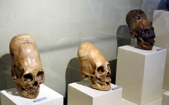 ParacasSkullsIcaMuseum.jpg