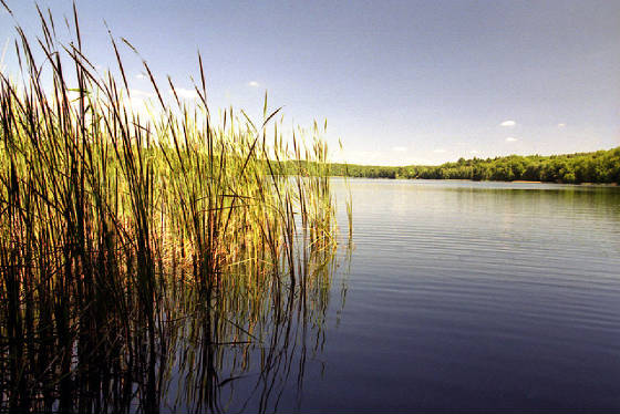 Peaceful_lakeview.jpg