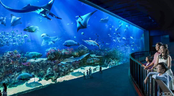 aquarium3.jpg