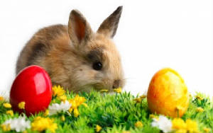 easter7.jpg
