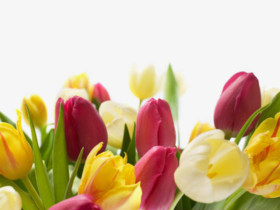 easterspring2.jpg