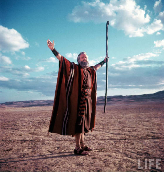 moses5.jpg