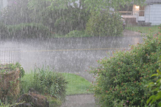 rain.jpg