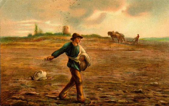 sower3.jpg