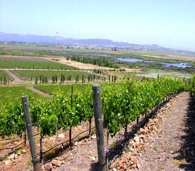 SanFranciscoWineCountry.jpg