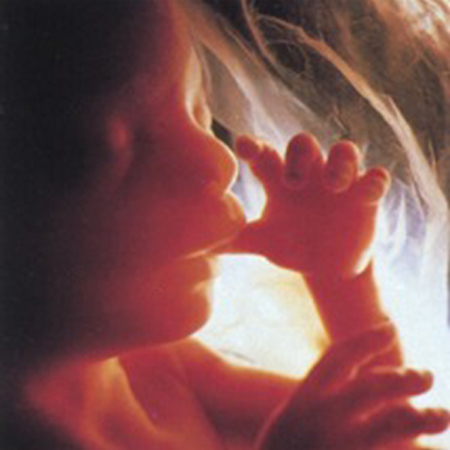 conception9.jpg