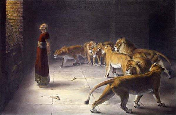 daniel3.jpg