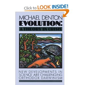 denton1.jpg