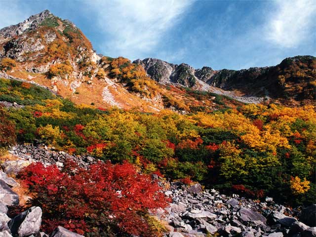 fall8.jpg