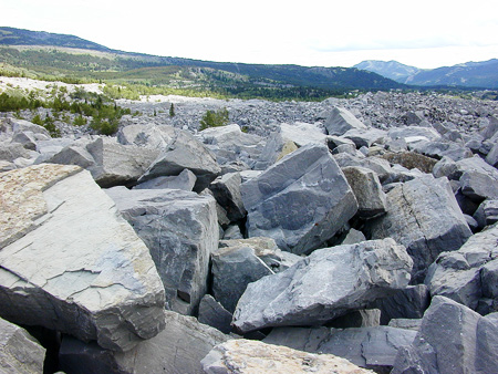 frankslide2.jpg