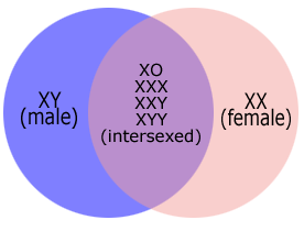 intersx6.gif
