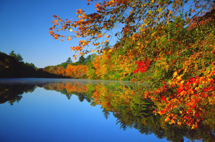 peacefulriver.jpg