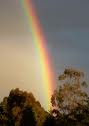 rainbow1.jpg