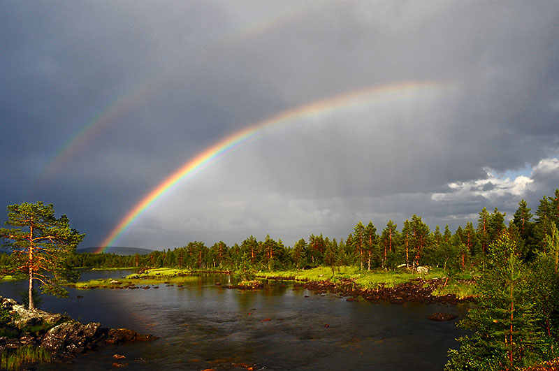 rainbow2.jpg