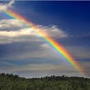 rainbow8.jpg