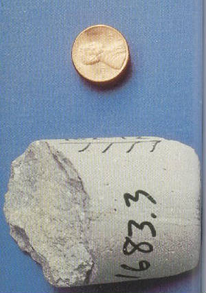 rhyolite.jpg
