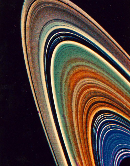 rings1.gif