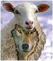sheepwolf.jpg