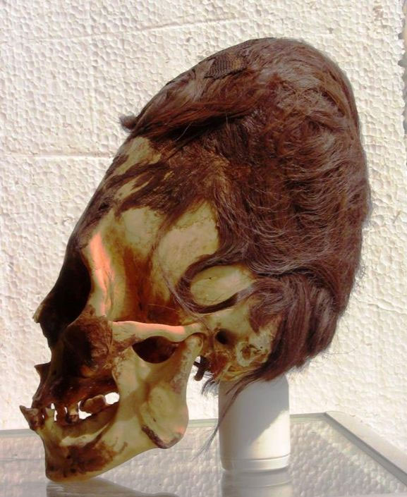skullparacas1.jpg