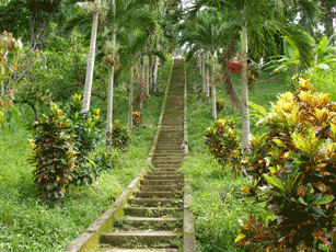 straightnarrow2.gif