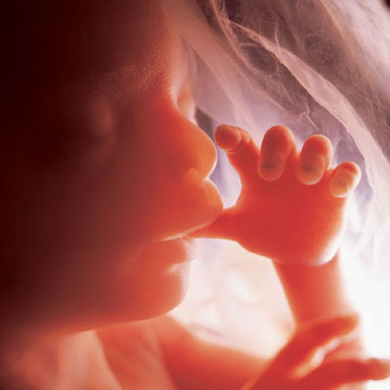 unborn.jpg