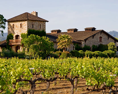 vineyards2.jpg