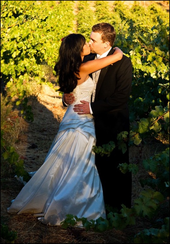 vinyard6.jpg