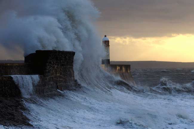 wildweather5.jpg